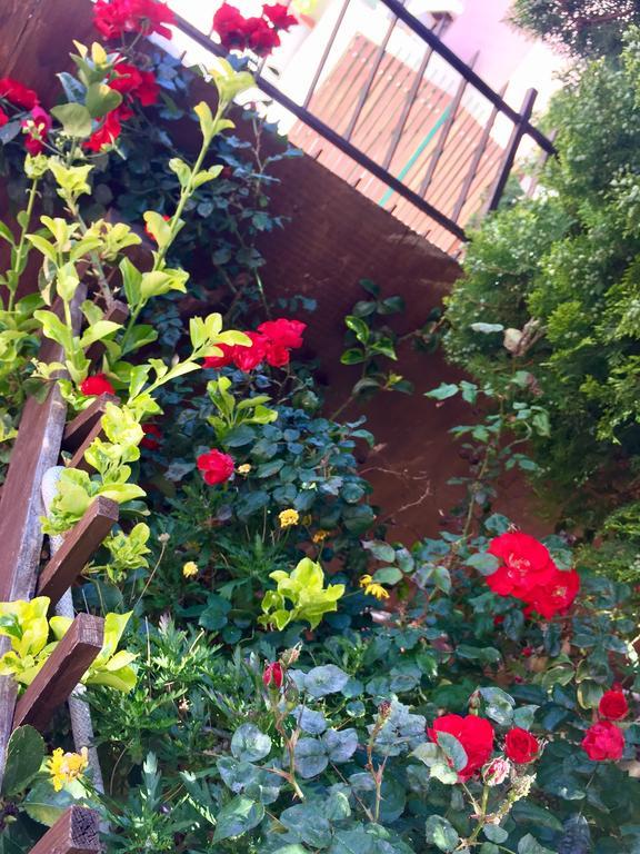 B&B Limone ซานเลโอเน ภายนอก รูปภาพ